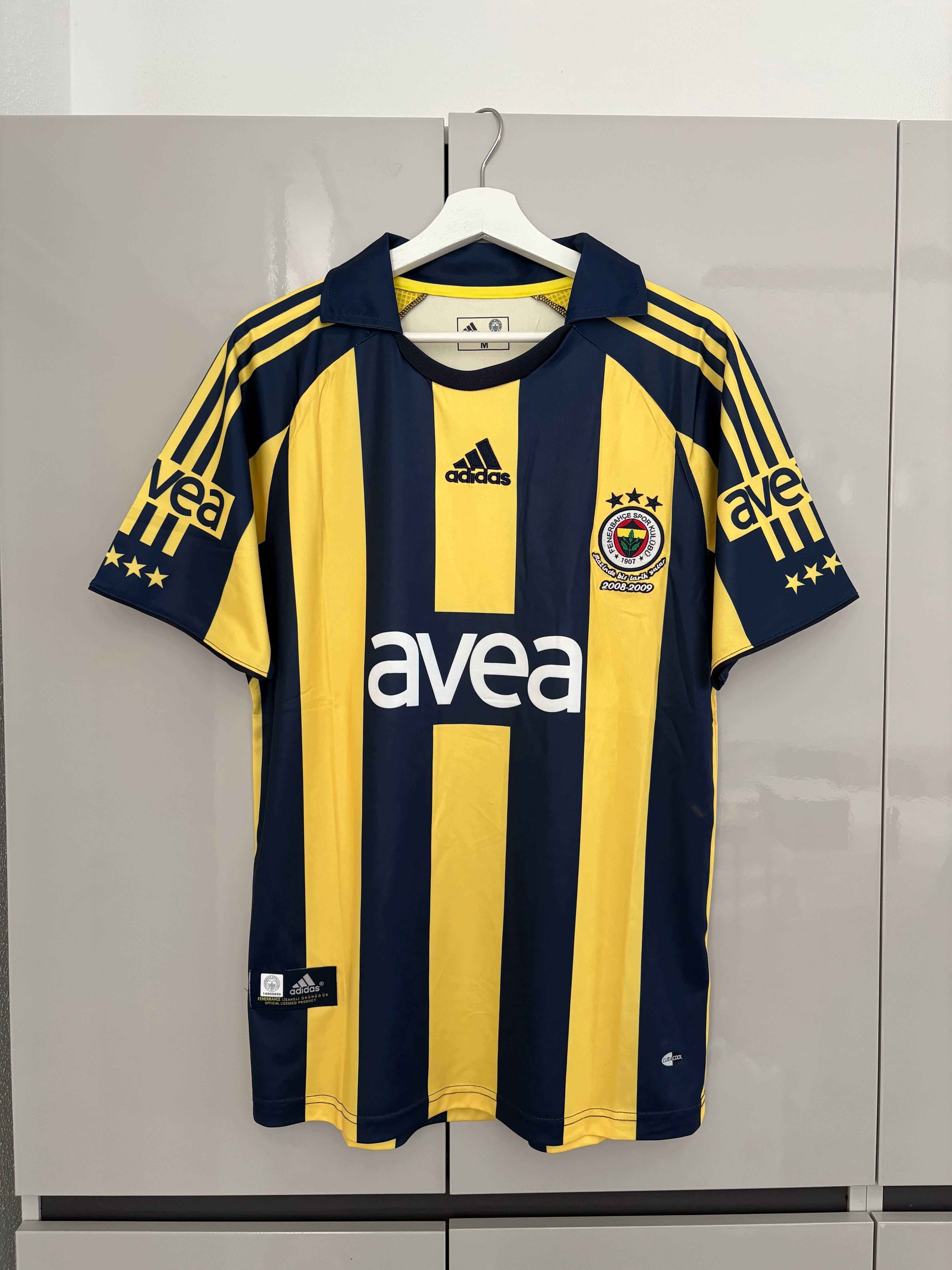 Fenerbahçe 08/09 (alex)